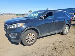 5XYPG4A31GG021695 2016 KIA SORENTO