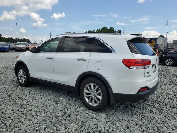 5XYPG4A31GG026654 2016 KIA SORENTO - Image 2