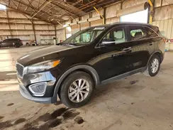 5XYPG4A31GG043566 2016 KIA SORENTO