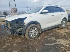 5XYPG4A31GG116547 2016 KIA SORENTO