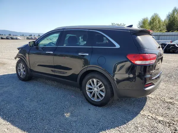 5XYPG4A31GG162556 2016 KIA SORENTO - Image 2