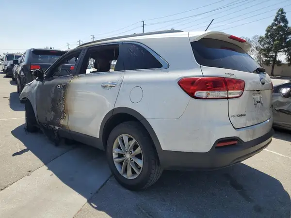 5XYPG4A31GG169409 2016 KIA SORENTO - Image 2