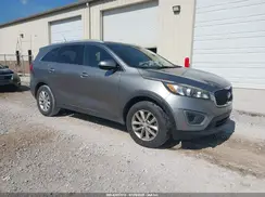 5XYPG4A31GG181544 2016 KIA SORENTO