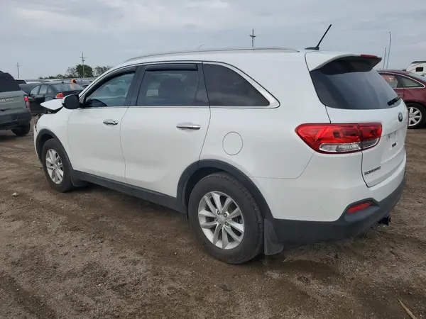5XYPG4A31HG218786 2017 KIA SORENTO - Image 2