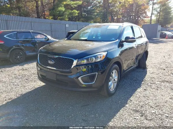 5XYPG4A31HG246393 2017 KIA SORENTO - Image 2