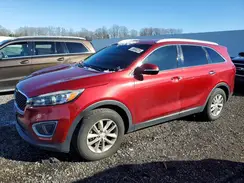 5XYPG4A31HG247320 2017 KIA SORENTO