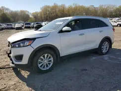 5XYPG4A31HG251660 2017 KIA SORENTO