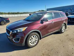 5XYPG4A31HG255644 2017 KIA SORENTO