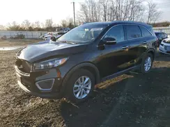5XYPG4A31HG258091 2017 KIA SORENTO