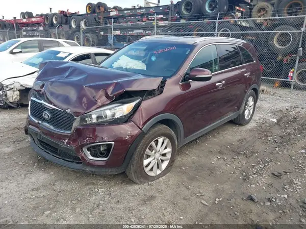 5XYPG4A31HG267826 2017 KIA SORENTO - Image 2