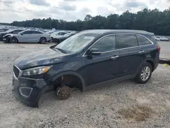 5XYPG4A31HG268135 2017 KIA SORENTO