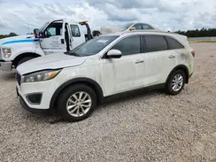 5XYPG4A31HG279927 2017 KIA SORENTO