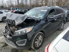 5XYPG4A31HG283931 2017 KIA SORENTO