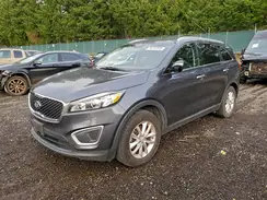 5XYPG4A31HG294489 2017 KIA SORENTO