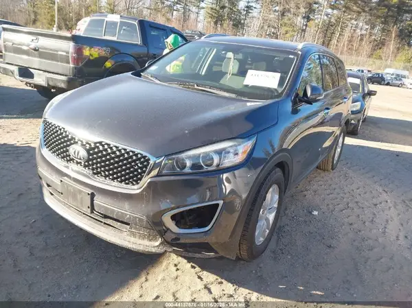5XYPG4A31HG334456 2017 KIA SORENTO - Image 2