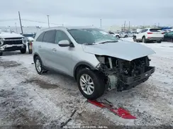 5XYPG4A31KG547981 2019 KIA SORENTO