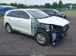 5XYPG4A31LG706077 2020 KIA SORENTO
