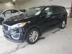 5XYPG4A32GG025626 2016 KIA SORENTO
