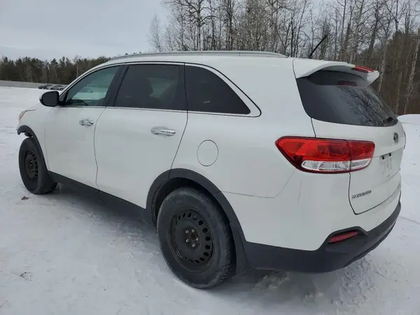 5XYPG4A32GG039056 2016 KIA SORENTO - Image 2