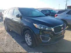 5XYPG4A32GG047562 2016 KIA SORENTO