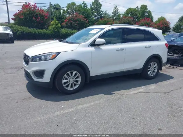 5XYPG4A32GG051918 2016 KIA SORENTO - Image 2