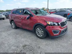 5XYPG4A32GG096129 2016 KIA SORENTO