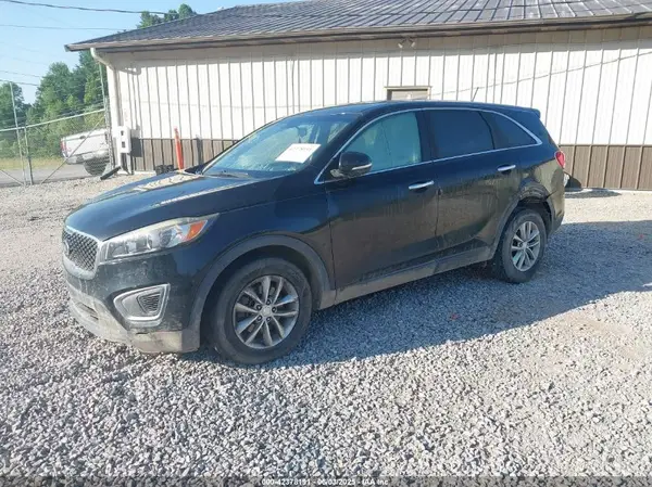 5XYPG4A32GG124642 2016 KIA SORENTO - Image 2