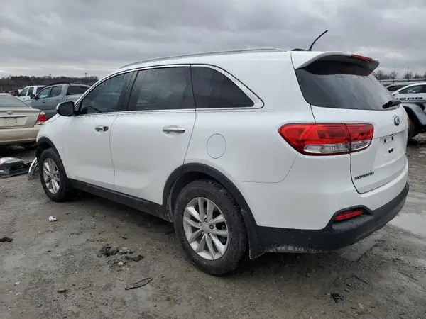 5XYPG4A32GG125273 2016 KIA SORENTO - Image 2