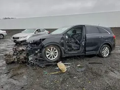 5XYPG4A32GG131168 2016 KIA SORENTO