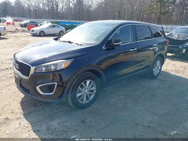 5XYPG4A32GG184498 2016 KIA SORENTO - Image 2
