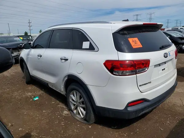 5XYPG4A32HG239825 2017 KIA SORENTO - Image 2