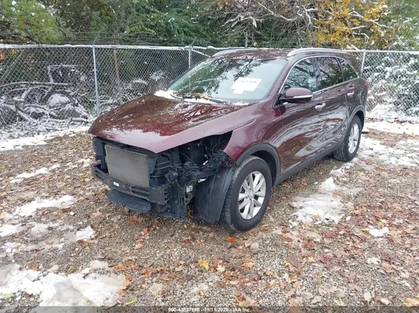 5XYPG4A32HG248637 2017 KIA SORENTO - Image 2