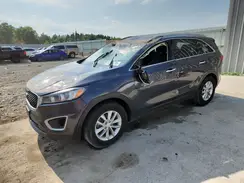 5XYPG4A32HG256205 2017 KIA SORENTO
