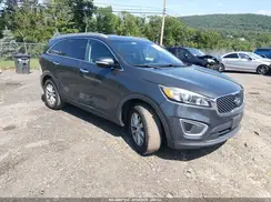5XYPG4A32HG331176 2017 KIA SORENTO
