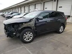 5XYPG4A32KG556270 2019 KIA SORENTO