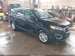 5XYPG4A33GG006311 2016 KIA SORENTO