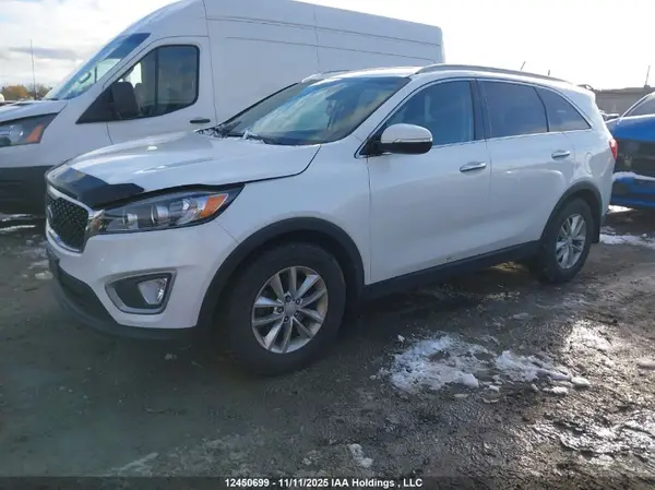 5XYPG4A33GG011606 2016 KIA SORENTO - Image 2