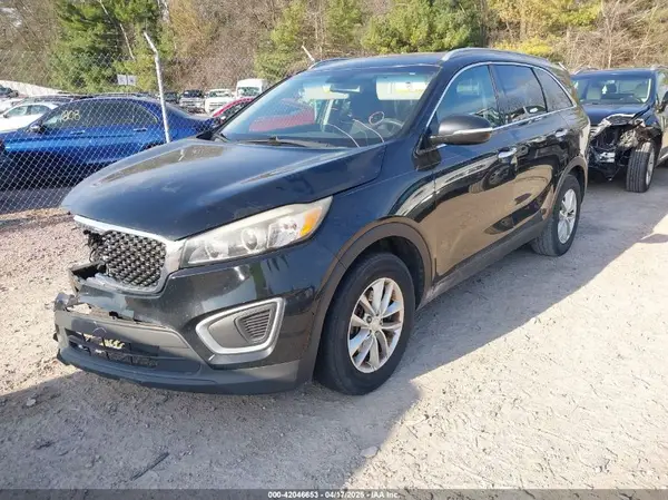 5XYPG4A33GG015753 2016 KIA SORENTO - Image 2