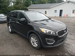 5XYPG4A33GG020435 2016 KIA SORENTO
