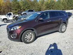 5XYPG4A33GG045626 2016 KIA SORENTO