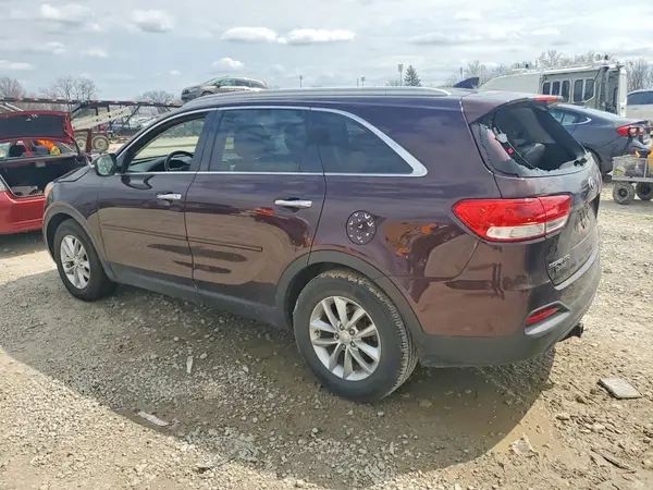 5XYPG4A33GG054715 2016 KIA SORENTO - Image 2