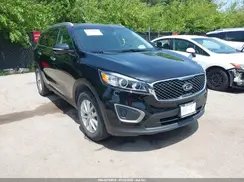 5XYPG4A33GG080487 2016 KIA SORENTO