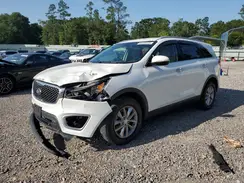 5XYPG4A33GG127937 2016 KIA SORENTO