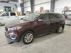 5XYPG4A33GG128232 2016 KIA SORENTO