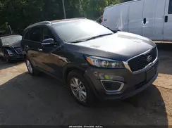 5XYPG4A33GG149517 2016 KIA SORENTO