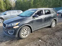 5XYPG4A33GG158654 2016 KIA SORENTO