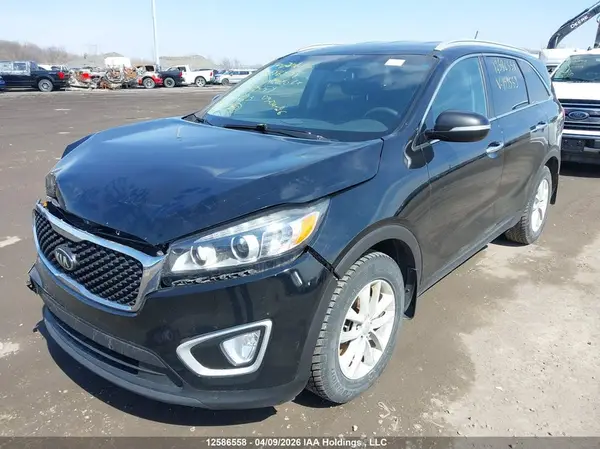 5XYPG4A33GG159559 2016 KIA SORENTO - Image 2