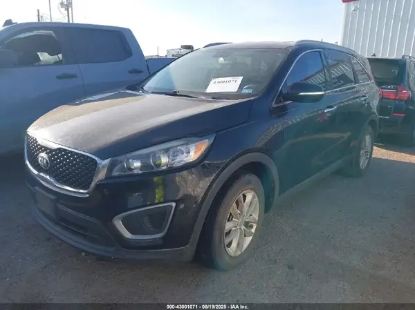 5XYPG4A33GG165264 2016 KIA SORENTO - Image 2
