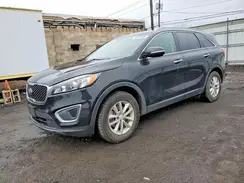 5XYPG4A33GG169136 2016 KIA SORENTO