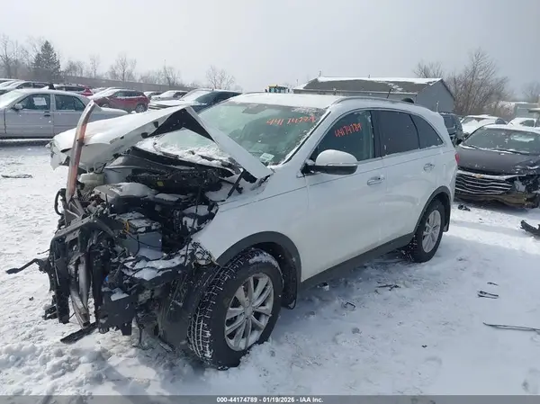 5XYPG4A33GG169993 2016 KIA SORENTO - Image 2